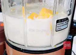 Mango Oatmeal Nut Dew Recipe Illustration 7