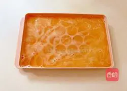 Illustration of how to make honeydew melon coconut coffee liqueur 5