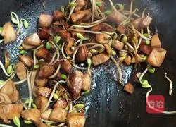 Chicken braised noodles illustration 9