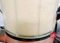 Mango Oatmeal Nut Dew Recipe Illustration 8