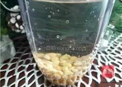 Soy Milk Recipe Illustration 2