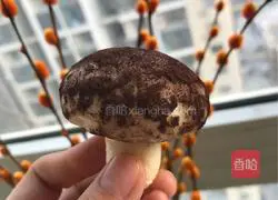 Illustration of how to make mushroom and bean paste buns 15