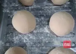 Big blooms Illustration of how to make cakes 8