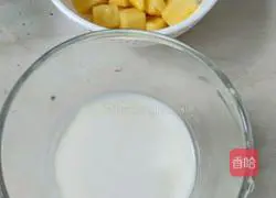 Mango Yoghurt Potted Planting Illustration 5