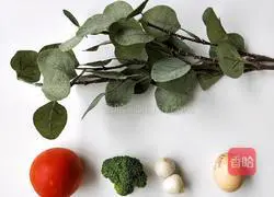 Illustration of how to make tomato and egg noodles 1