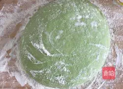 Illustration of how to make spinach noodles, pork and green onion dumplings 1