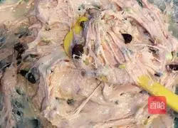 Cranberry nut nougat recipe 10