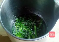 Spinach juice recipe 4
