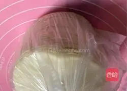 Illustration of how to make vegetable fried dumplings 5