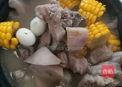 Illustration of how to make stewed pork ribs with lotus root 3