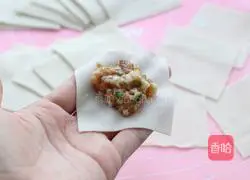 Illustration of Handmade Fresh Meat Large Wontons 7