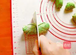 Spring Taste Recipe Illustration 16