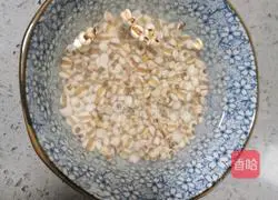 Illustration of how to make longan, red dates and barley soup 2