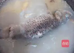 Illustration of how to make crucian carp tofu soup 3