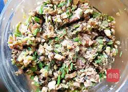 Illustration of how to make homemade dumplings with celery, mushrooms and meat 10