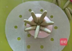 Illustration of how to make succulent plant-shaped steamed buns 19