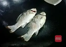 Illustration of how to make tomato crucian carp soup 5