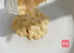 Apple Egg Pancake Recipe Illustration 5