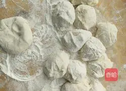 Illustrated recipe for yeasted bean pie 7