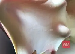 Fruit Bread ( Simple version) Illustration 4