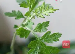 The Youth League Illustration of how to do it 1