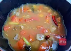 Illustration of tomato and beef brisket stewed with potatoes 13