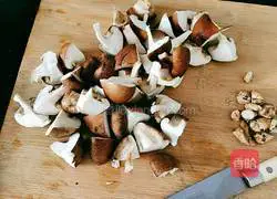 Melon and Mushroom Chicken Soup Illustration 10