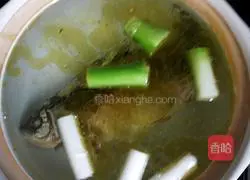 Illustration of how to make crucian carp soup 3