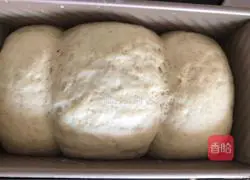 Milk-flavored whole wheat toast recipe 9