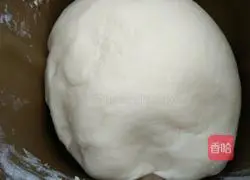 Beef Illustration of how to make steamed buns 2