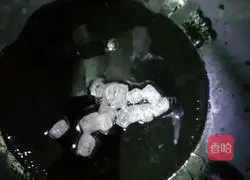 Tomato Beef Brisket Soup Recipe Illustration 5