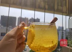 Passion Fruit Lemon Recipe Illustration 12