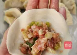 Illustration of how to make green onion and pork dumplings 4