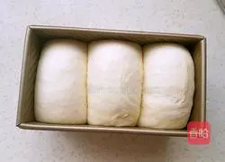 Milk toast recipe 10