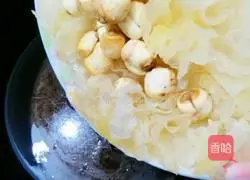 Illustration of Tremella Lotus Seed Soup 4 