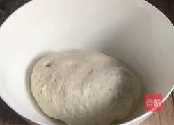 Illustration of how to make carrot and beef pot stickers 3