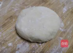 Illustration of making small wontons 1