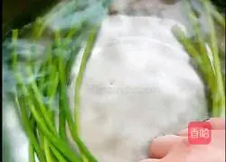 How to make cold garlic sprouts Illustration 2