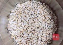 Winter Melon, Coix Seed and Crucian Carp Soup Recipe Illustration 2