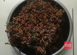 Illustration of how to make sea buckthorn juice 3