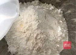 Illustration of how to make leek box 2