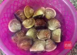 Illustration of how to make fresh clam soup 1