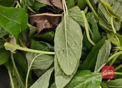 Eggplant vegetable soup recipe 2