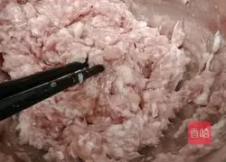 Illustration of how to make pork and leek dumplings 13