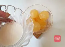 Illustration of how to make honeydew melon coconut coffee liqueur 12