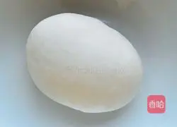 Vegetarian zygote recipe 1