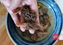 Illustration of morel stew with gravy 3