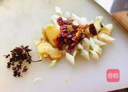 Illustration of braised pork ribs and noodles 3