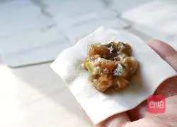 Illustration of how to make sea cucumber, shrimp and meat wontons 11