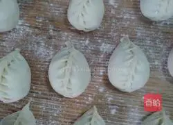 Illustration of how to make vegetable dumplings with meat stuffing 5